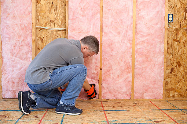 Best Affordable Insulation Services  in USA